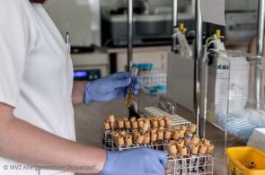 Почему в Германии реже умирают от коронавируса