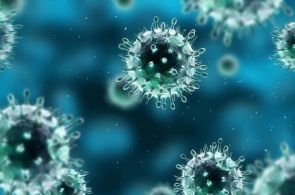 Папилломавирус человека – как избежать опасных последствий